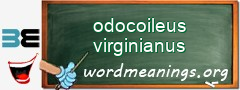 WordMeaning blackboard for odocoileus virginianus